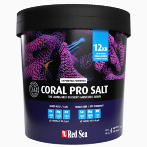 sal red sea coral pro