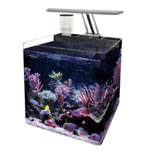 nano acuario marine 24 litros ocean free