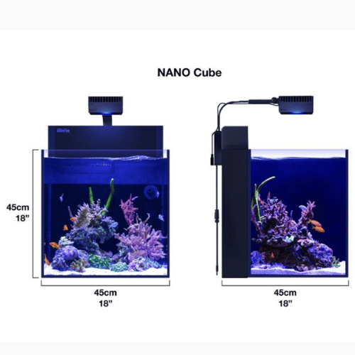 nano cube red sea